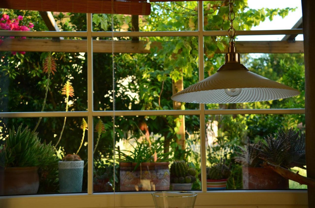 Casa Magnolia Apartment Terricciola Ngoại thất bức ảnh