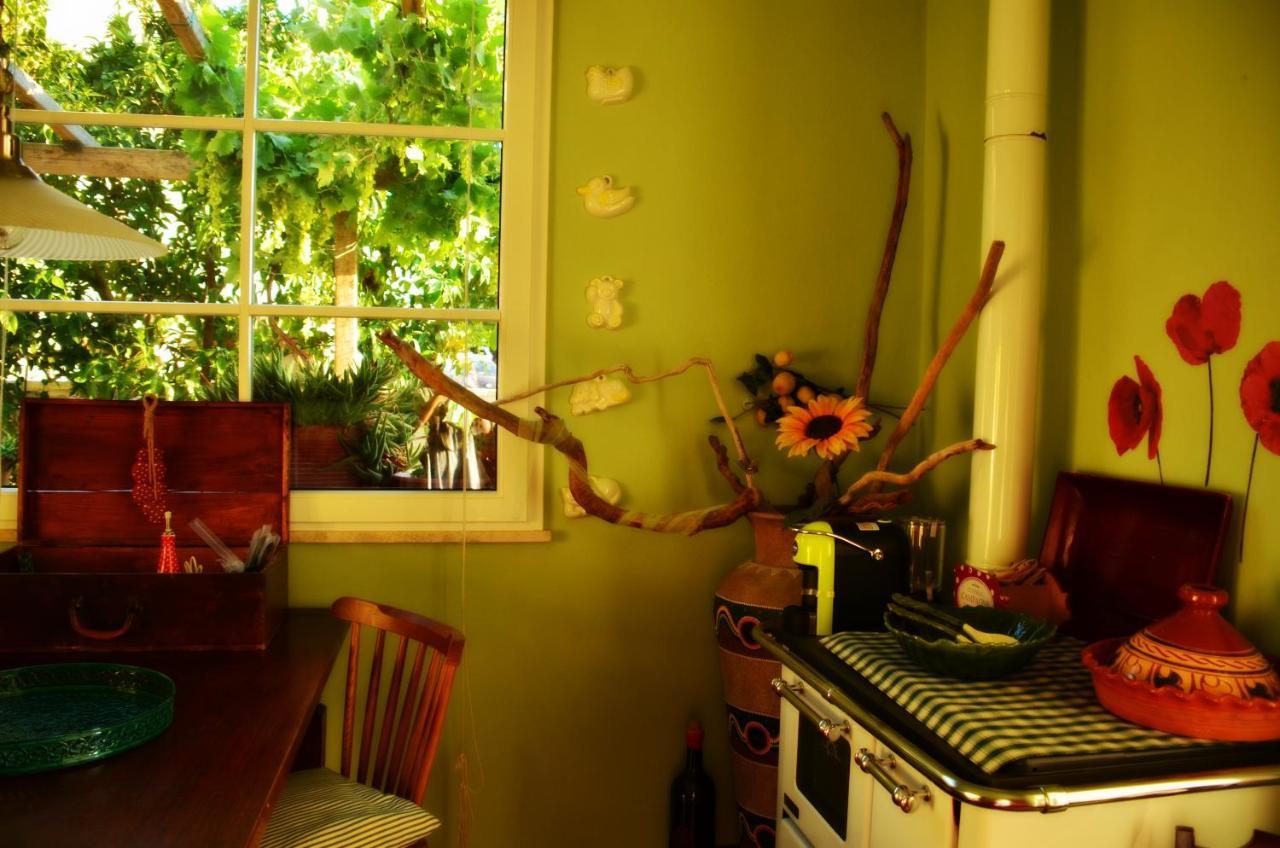 Casa Magnolia Apartment Terricciola Ngoại thất bức ảnh